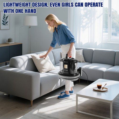 Home design spot cleaner - design,